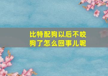 比特配狗以后不咬狗了怎么回事儿呢