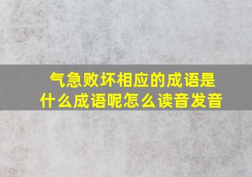 气急败坏相应的成语是什么成语呢怎么读音发音