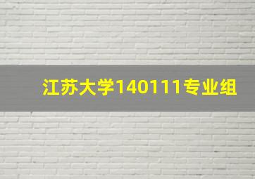 江苏大学140111专业组