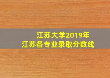 江苏大学2019年江苏各专业录取分数线