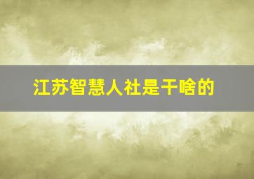 江苏智慧人社是干啥的