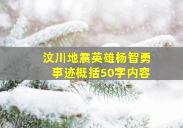 汶川地震英雄杨智勇事迹概括50字内容