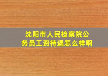 沈阳市人民检察院公务员工资待遇怎么样啊