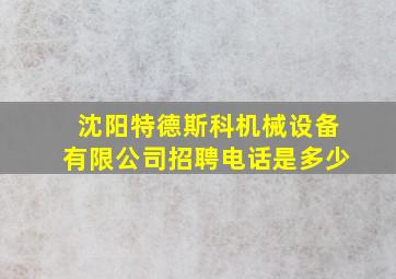 沈阳特德斯科机械设备有限公司招聘电话是多少