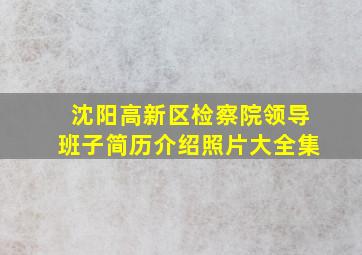 沈阳高新区检察院领导班子简历介绍照片大全集