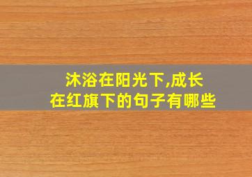 沐浴在阳光下,成长在红旗下的句子有哪些