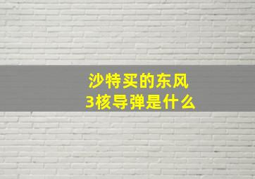 沙特买的东风3核导弹是什么