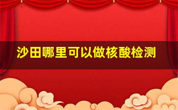 沙田哪里可以做核酸检测