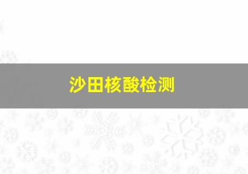 沙田核酸检测