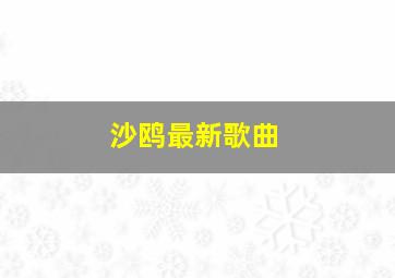 沙鸥最新歌曲