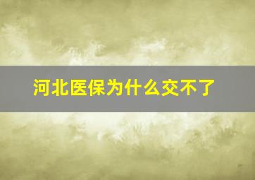 河北医保为什么交不了