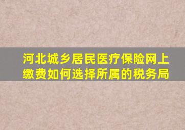 河北城乡居民医疗保险网上缴费如何选择所属的税务局