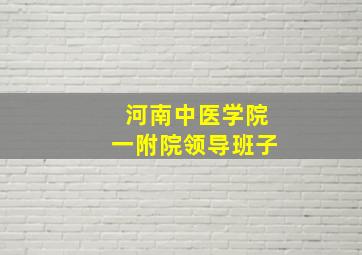 河南中医学院一附院领导班子