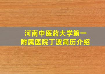 河南中医药大学第一附属医院丁波简历介绍