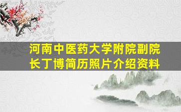 河南中医药大学附院副院长丁博简历照片介绍资料