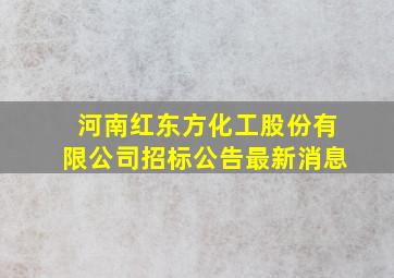 河南红东方化工股份有限公司招标公告最新消息