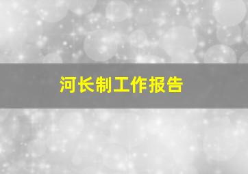 河长制工作报告