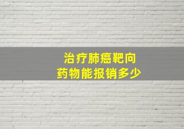 治疗肺癌靶向药物能报销多少