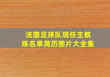 法国足球队现任主教练名单简历图片大全集