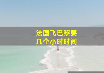 法国飞巴黎要几个小时时间