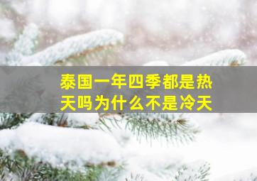 泰国一年四季都是热天吗为什么不是冷天