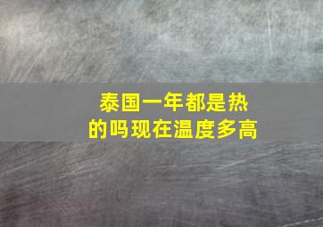 泰国一年都是热的吗现在温度多高