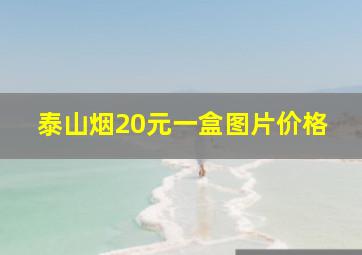 泰山烟20元一盒图片价格