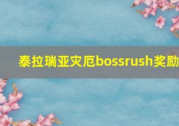 泰拉瑞亚灾厄bossrush奖励