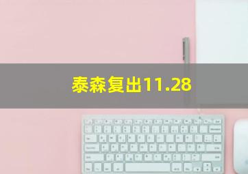 泰森复出11.28