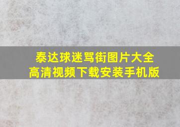 泰达球迷骂街图片大全高清视频下载安装手机版