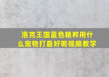 洛克王国蓝色精粹用什么宠物打最好呢视频教学