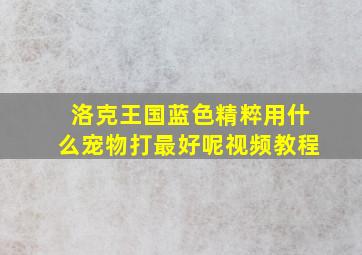 洛克王国蓝色精粹用什么宠物打最好呢视频教程