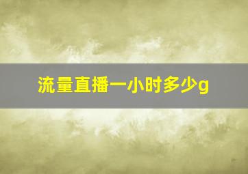 流量直播一小时多少g