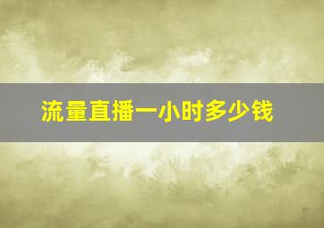 流量直播一小时多少钱