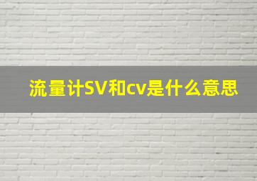 流量计SV和cv是什么意思