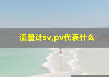 流量计sv,pv代表什么