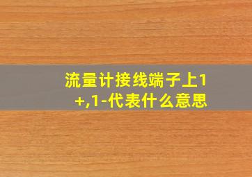 流量计接线端子上1+,1-代表什么意思