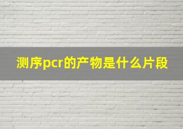 测序pcr的产物是什么片段