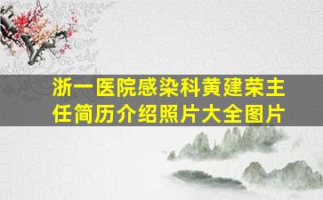 浙一医院感染科黄建荣主任简历介绍照片大全图片