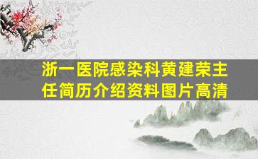 浙一医院感染科黄建荣主任简历介绍资料图片高清