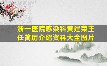 浙一医院感染科黄建荣主任简历介绍资料大全图片