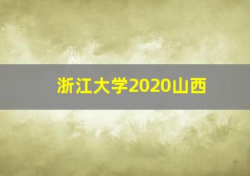 浙江大学2020山西