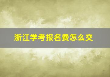 浙江学考报名费怎么交