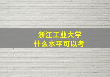 浙江工业大学什么水平可以考