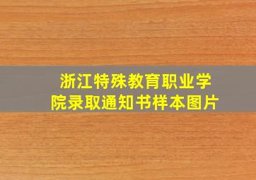 浙江特殊教育职业学院录取通知书样本图片