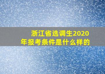 浙江省选调生2020年报考条件是什么样的