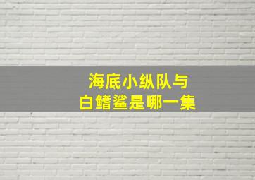 海底小纵队与白鳍鲨是哪一集