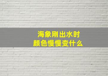 海象刚出水时颜色慢慢变什么