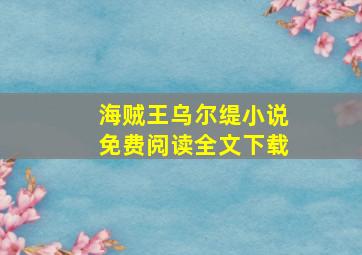 海贼王乌尔缇小说免费阅读全文下载