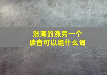 涨潮的涨另一个读音可以组什么词